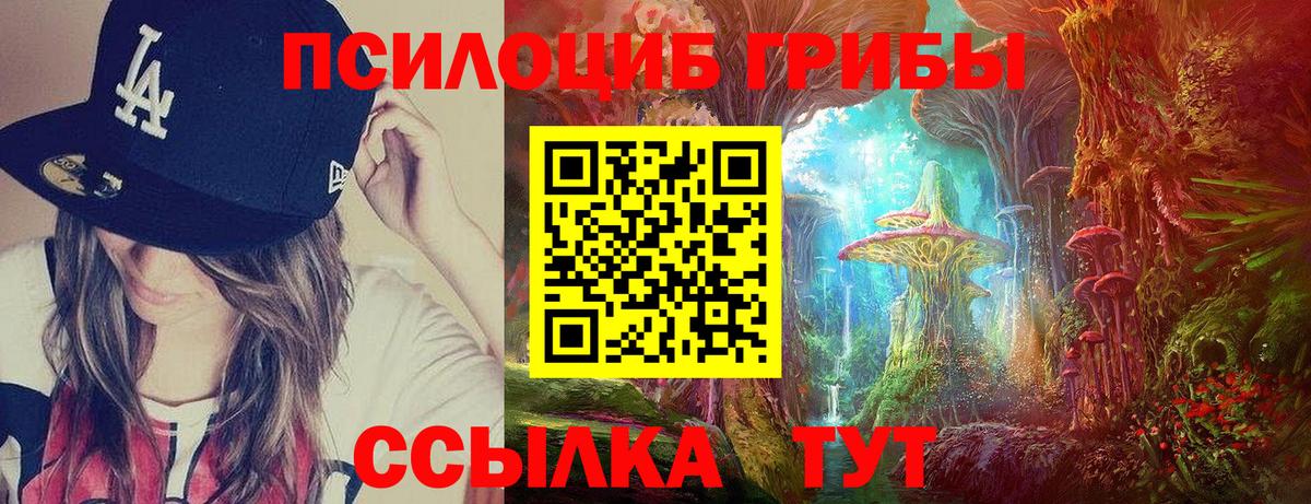 Тайшет  Галлюциногенные грибы Magic Shrooms  Вход с VPN  Галлюциногенные грибы MAGIC MUSHROOMS 